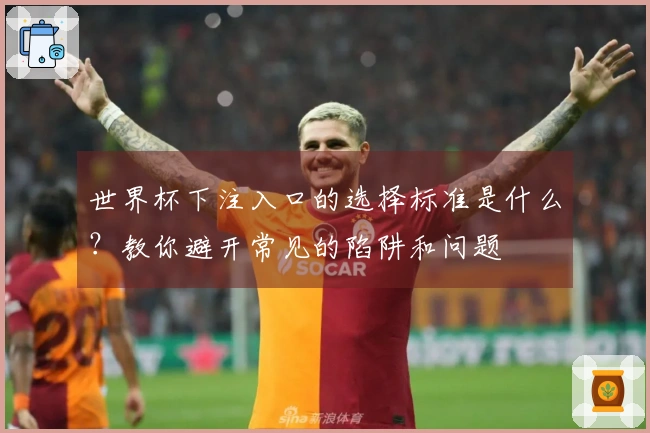 世界杯下注入口的选择标准是什么？教你避开常见的陷阱和问题