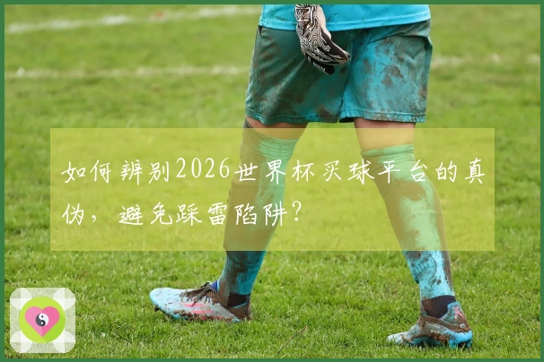 如何辨别2026世界杯买球平台的真伪,避免踩雷陷阱?